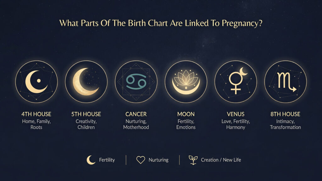 What Parts Of The Birth Chart Are Linked To Pregnancy?